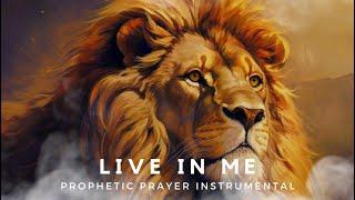 Prophetic Prayer  Instrumental  Meditation  Live In Me