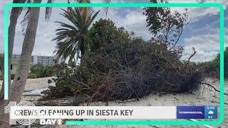 Palm trees in the living room Siesta Key residents clean up debris after hurricane