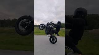 The Wheelie Addiction Never Goes Away Right? 