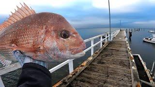 Land Based Pier and Jetty Fishing For Snapper 