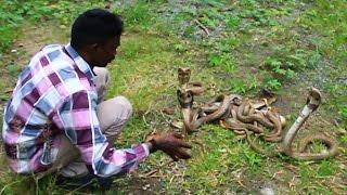 Vava Suresh with 20 Attacking Cobras  SNAKE MASTER EP 175 05-08-2016