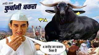 Amir Khan Qurbani Bakra 2023  अमीर खान का 4 करोड़ का धांसू बकरा  देखते ही चक्कर आएगा  AT