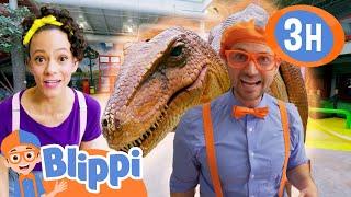 Dinosaur and Zoo Fun +More  Blippi and Meekah Best Friend Adventures  Educational Videos for Kids