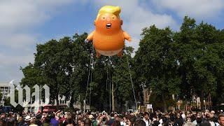 Giant Trump Baby blimp takes flight in London