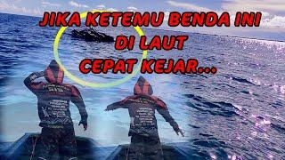 JARANG ORANG TAU JIKA KETEMU BENDA INI DI LAUT CEPAT KEJAR MANCING DI LAUT