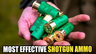 Top 7 Worlds Most EFFECTIVE Shotgun Ammo For Home Defense