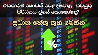 කොටස් වෙළඳපොළ තවත් ඉහළට  Anura Kumara Dissanayakas SHOCKING Impact on Sri Lankas Stock Market