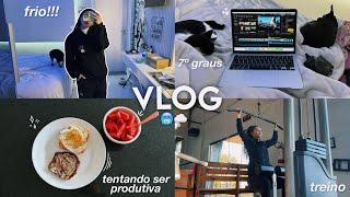 vlog tentando seguir minha rotina no frio ️ 