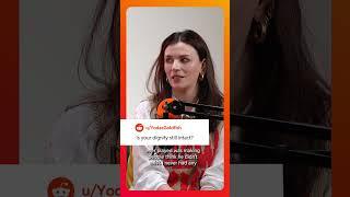 Is Your Dignity Still Intact?  #shorts  AISLING BEA