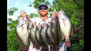 AMAZING day Crappie fishing and a SURPRISE FISH CATCH