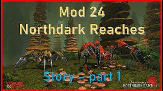 Neverwinter Mod24 Northdark Reaches Story Part 1 #story #walkthrough