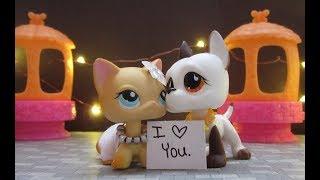 LPS You Belong With Me {Music Video}