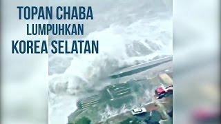 Rekaman Saksi Mata Bencana Topan Super Chaba di Busan