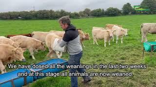 FutureBeef Farmer Michael & Niall Biggins.