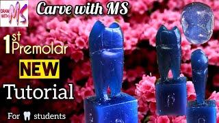 Maxillary First Premolar carving  Maxillary 1st premolar carving  tutorial  wax carving