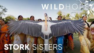 Meet the Army of Women Saving India’s Rarest Stork  WILD HOPE