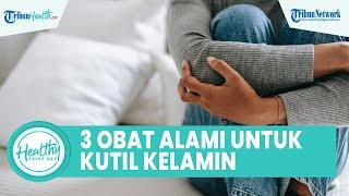 Ini 3 Obat Alami Ampuh Hilangkan Kutil Kelamin yang Membandel Begini Cara Tepat agar Cepat Sembuh