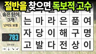 절반만 찾으셔도 대단한 성적입니다 - 숨은단어찾기치매예방치매테스트치매예방퀴즈단어퀴즈치매예방활동낱말퀴즈