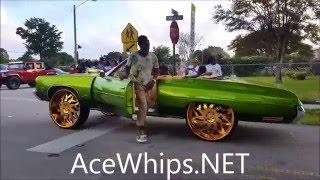 AceWhips.NET- Navas Chevy Vert on Gold 30 Amani