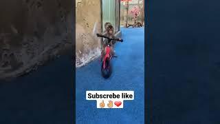 monyet lucu pintar  naik sepedasmart monkey rider a bicyclesubscribe#shoes#viral