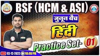 Hindi For BSF HCM & ASI  BSF HCM & ASI Hindi Practice Set #1  Hindi For BSF by Neeraj Sir