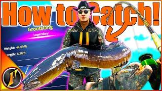 Where & How to Catch Grootslang The NEW LEGENDARY EEL on Africa  theAngler