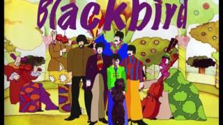 BLACKBIRD The Beatles cover