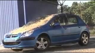 Big bird poops on car 