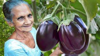 The Best Eggplant Recipe  Brinjal in Coconut Milk  Eggplant Coconut Milk Curry