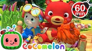CoComelon - Once I Caught A Fish Alive Learning Videos For Kids  Education Show For Toddlers