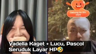 Vadella Sampe Kaget Dan Lucu Melihat Pascol Seruduk Layar HP Gara Gara Kalah Pk Tiktok Challenge 