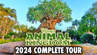 Disneys Animal Kingdom 2024 - Walkthrough & Rides at Walt Disney World 4K