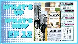 WHATS UP WHATS NEW EXCITING NEW CRAFT SUPPLIES DIGITAL KITS AND A COLLABORATION #creeponjune24