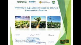 Инновации выращивании сахарной свеклы в Алматинской области