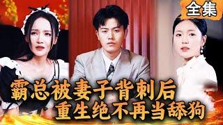 Multi SUB 霸总被妻子背刺后重生，发誓绝不再当舔狗！#爽文 #男频短剧 #MiniDrama #精彩大陆短剧 【西瓜妹剧场】