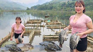 The girls strange fish trap her life on the lake.