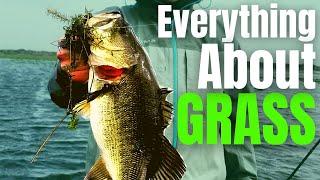 BASS Fishing GRASS  Milfoil Coontail Hydrilla & Eelgrass Fishing The #1 COVER For Big Bass