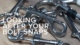 How To Look After Your Bolt Snaps  Deep Dive