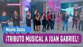 Tributo musical a Juan Gabriel - Mucho Gusto 2016