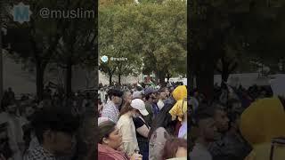 Protestors at U.S Capitol Beg for an End to Violence in Palestine  MUSLIM