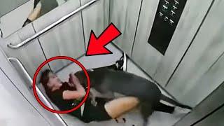 Cop Saves Woman From Being Mauled By Pit Bulls She Wants Him Fired