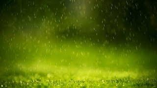 صوت المطر والرعد - اصوات الطبيعة - استرخاء دراسة تأمل نوم - ساعة كاملة - Relaxing Rain & Thunder