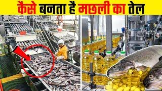 How Fish Oil Is Extracted