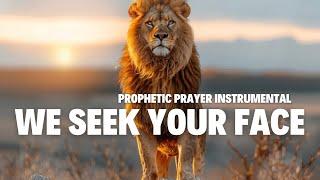 Prophetic Prayer Instrumental  Intercession  Meditation  Shofar  8 hours