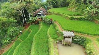 LUAR BIASA  KAMPUNG TERPENCIL YANG SUPER INDAH PEMANDANGAN ALAM DESA  SUASANA PEDESAAN JAWA BARAT