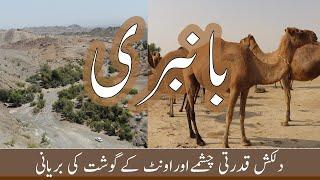 Camel Biryani  Bambri Uthal  Lasbela  Balochistan  Pakistan  Vlog # 32 