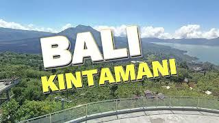 BALI BUNGAS - KINTAMANI PENELOKAN