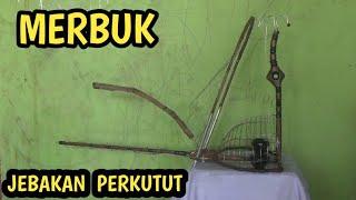 ruji setenlis sangkar jebakan burung perkutut