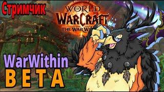 Жесткий паладин на прокачке. World of Warcraft DF