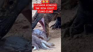  LUCUNYA KOMODO TAK BISA GIGIT CUMI-CUMI #komodo #animals #ntt #labuanbajo #komodonationalpark